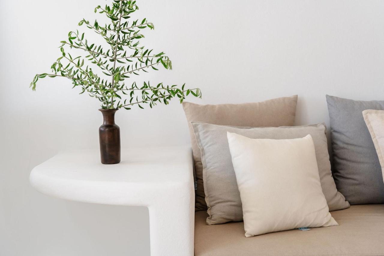 Villa Nausicaa Kastraki Naxos Naxos City ภายนอก รูปภาพ