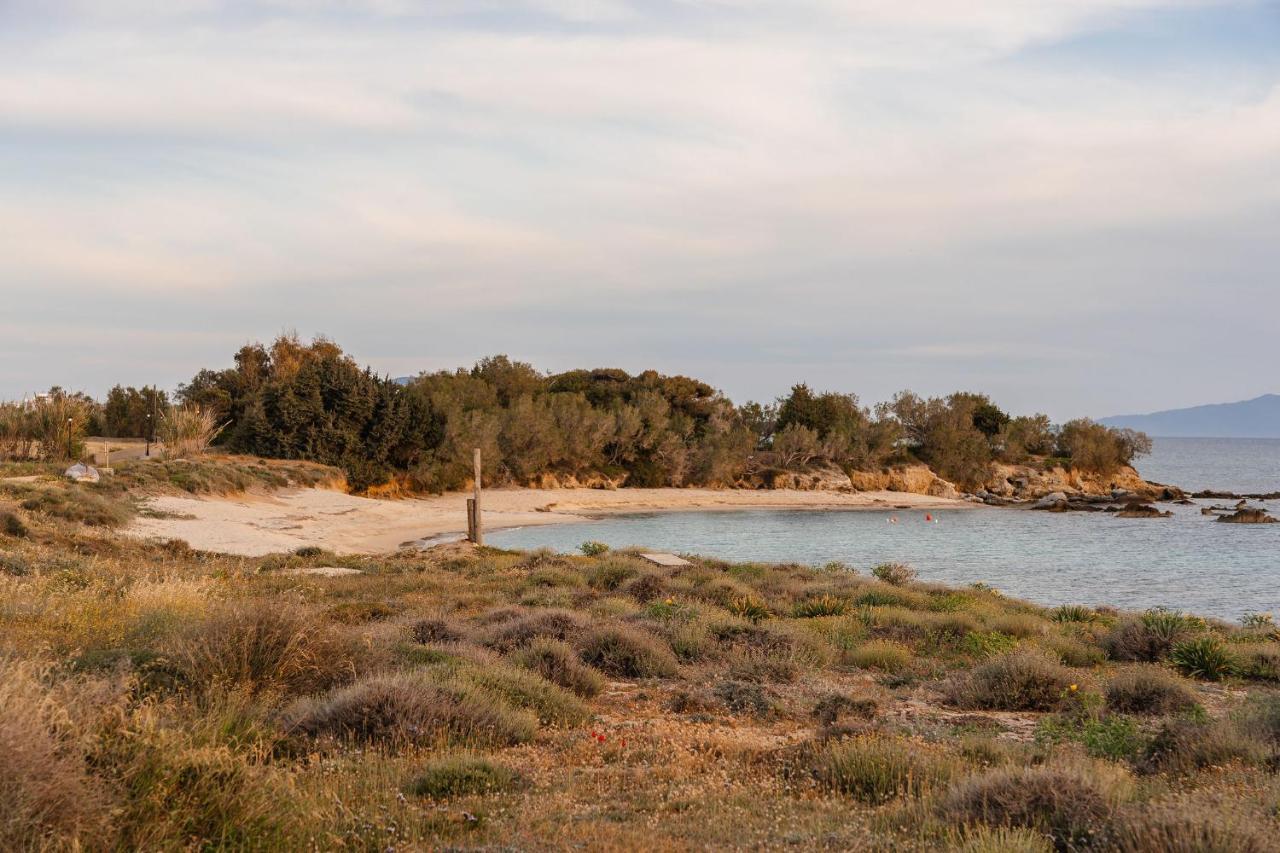 Villa Nausicaa Kastraki Naxos Naxos City ภายนอก รูปภาพ